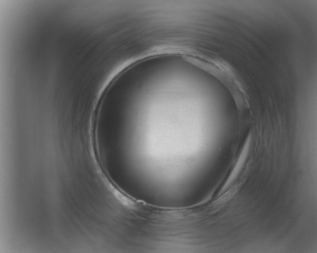 X0000063451438200602031756