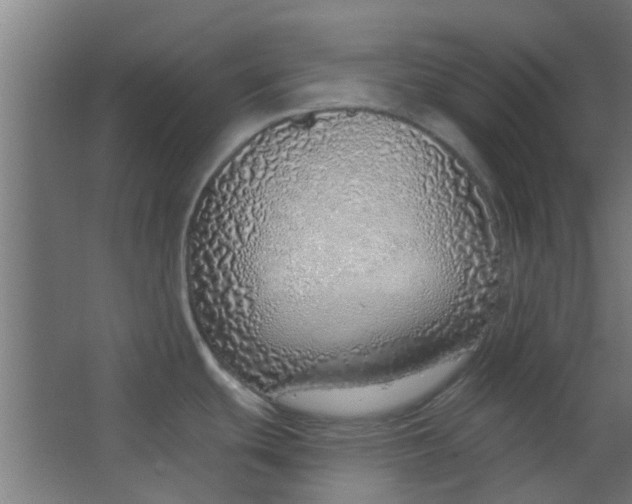 X0000063451439200602031756