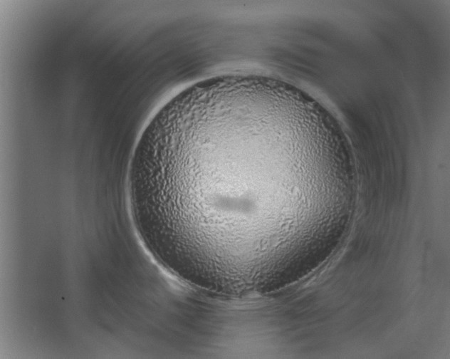 X0000063451440200602031756