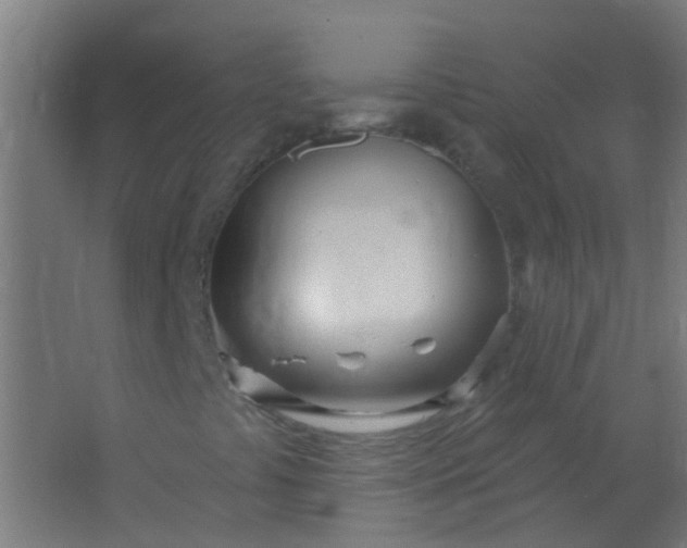 X0000063451441200602031756