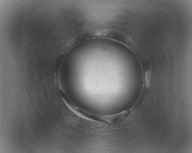 X0000063451443200602031756