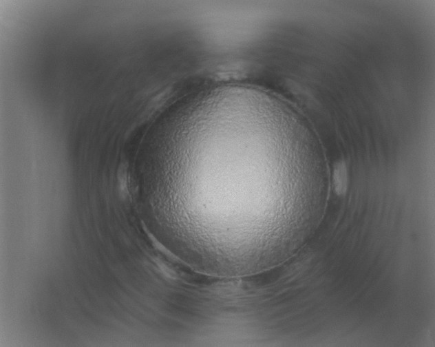 X0000063451444200602031755