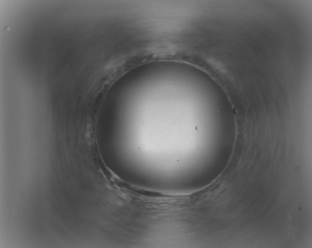 X0000063451445200602031755