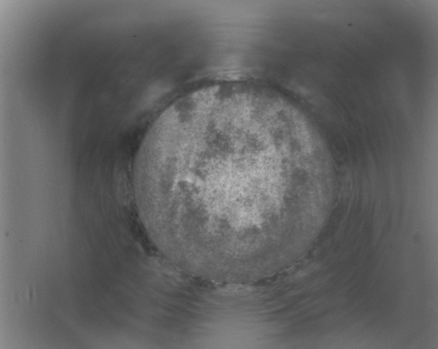 X0000063451446200602031755