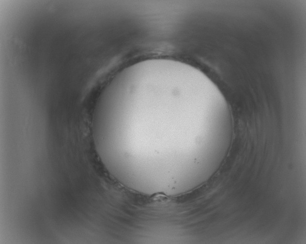 X0000063451447200602031755