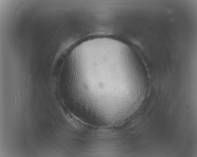 X0000063451448200602031755