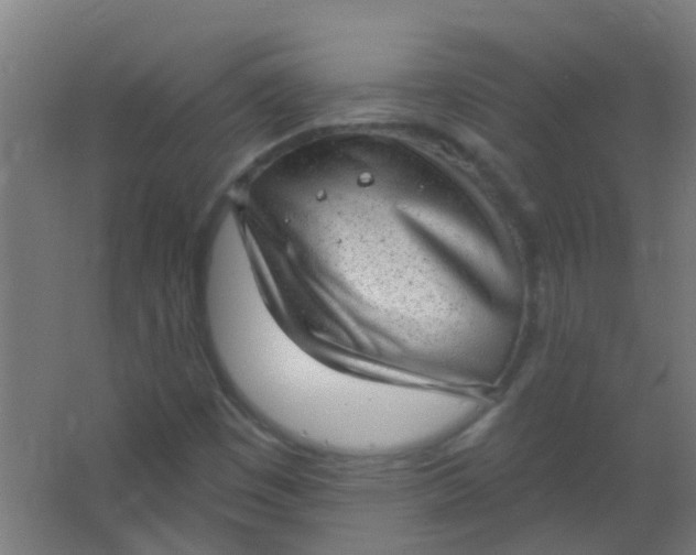 X0000063451449200602031755