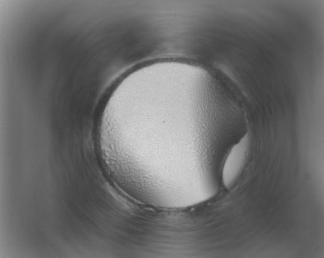 X0000063451452200602031755