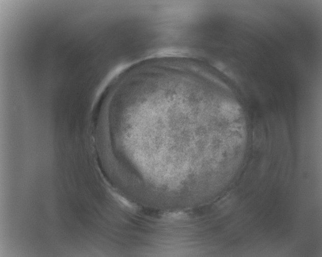 X0000063451454200602031755