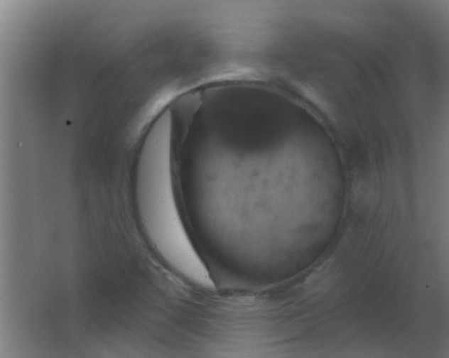 X0000063451455200602031755