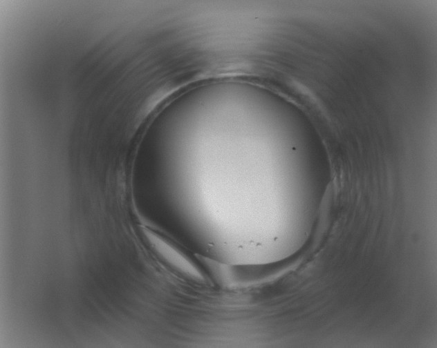 X0000063451457200602031755