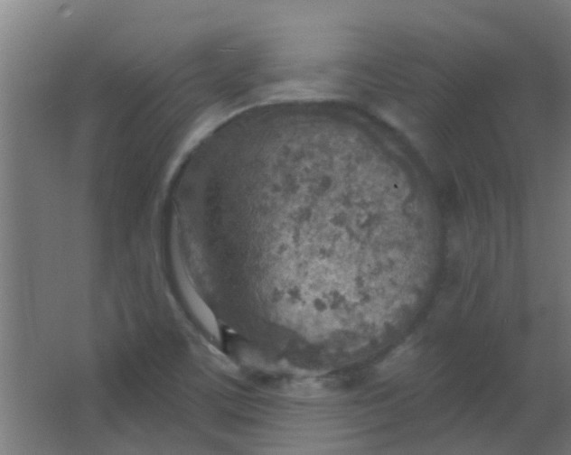 X0000063451459200602031755