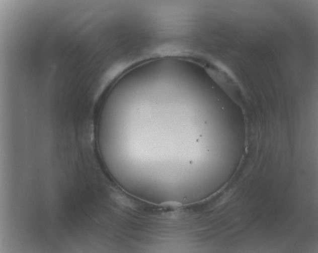 X0000063451461200602031755