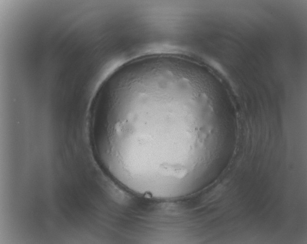 X0000063451463200602031755