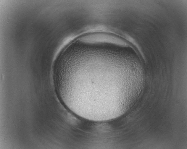 X0000063451464200602031755