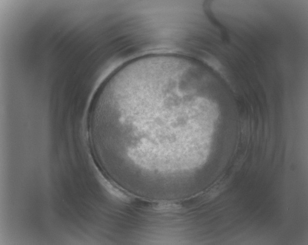 X0000063451466200602031755