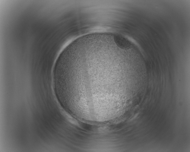 X0000063451467200602031755