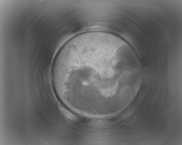 X0000063451474200602031755