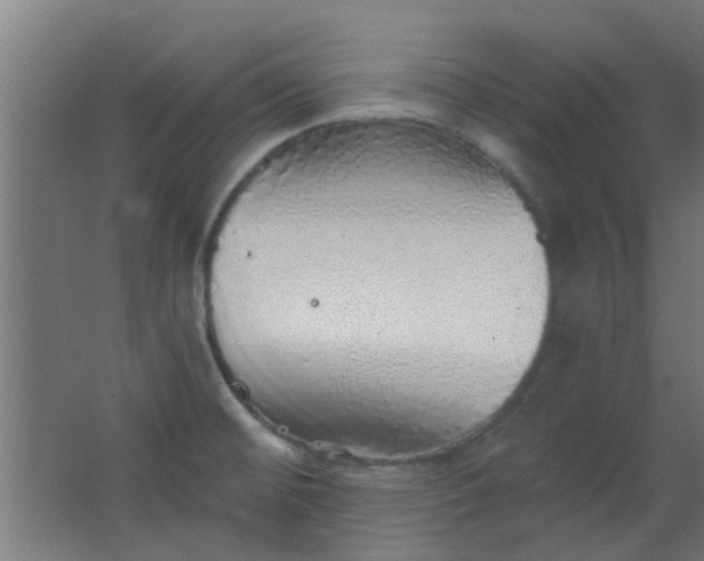 X0000063451476200602031755