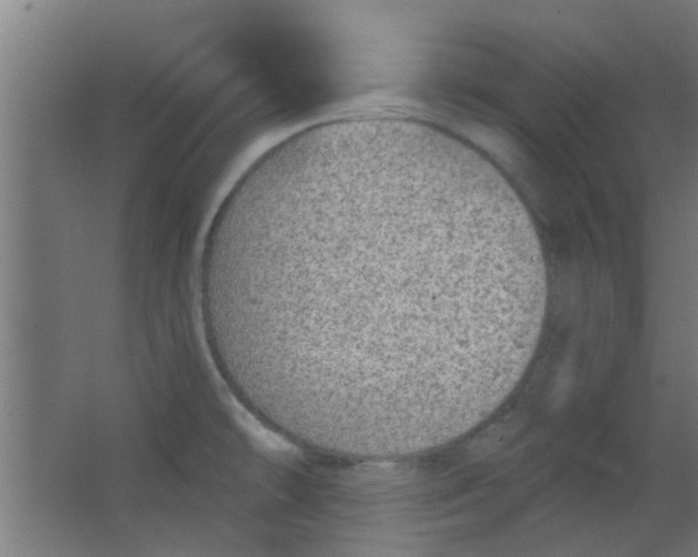 X0000063451478200602031755