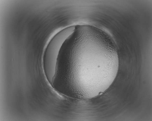 X0000063451480200602031755