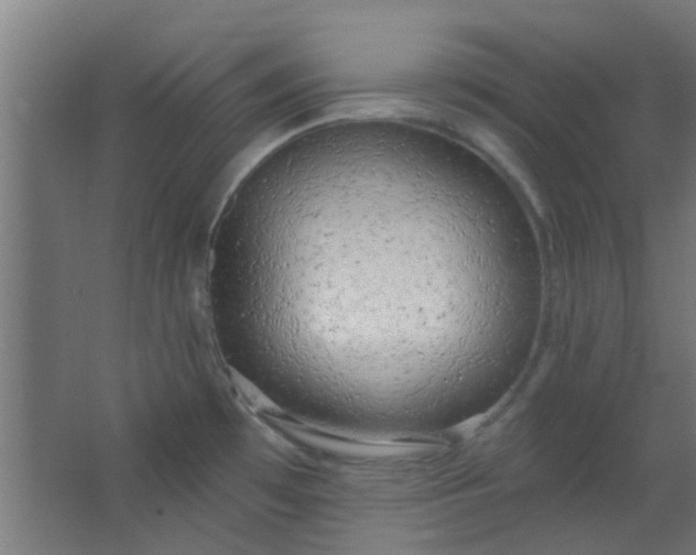 X0000063451481200602031755