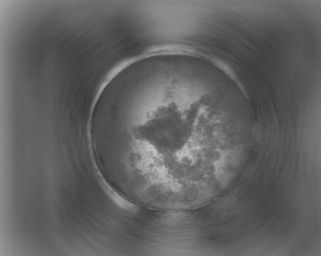 X0000063451482200602031755