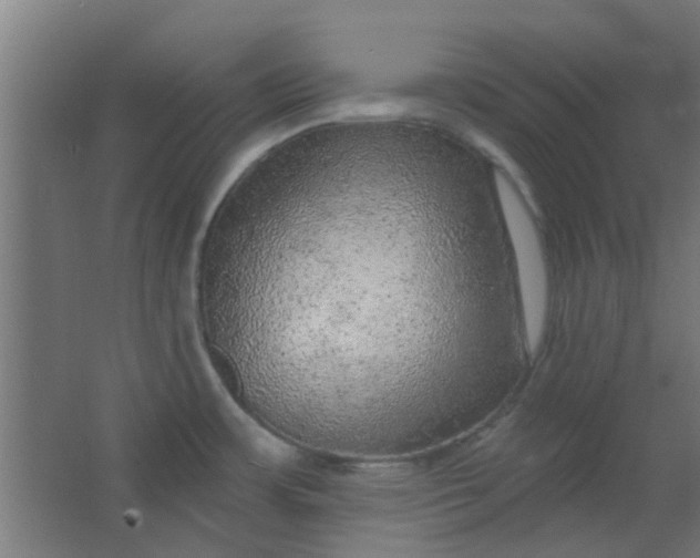 X0000063451483200602031755