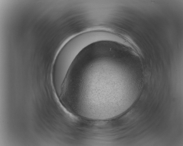 X0000063451484200602031755