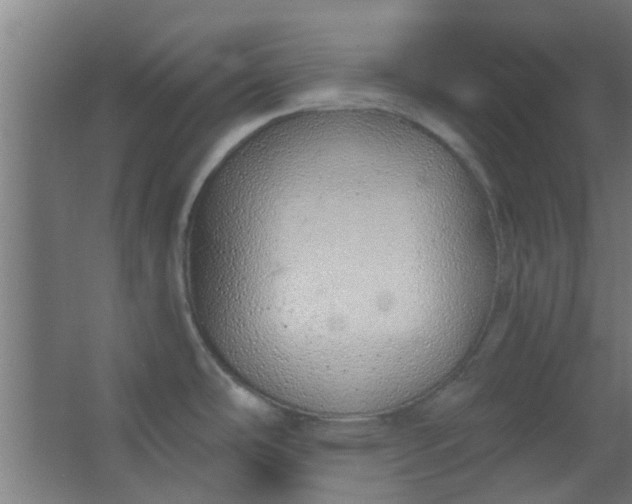 X0000063451486200602031755