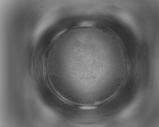 X0000063451487200602031755