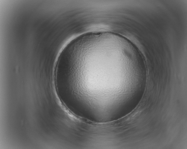 X0000063451488200602031755