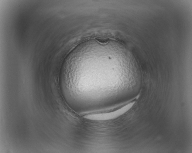 X0000063451489200602031754