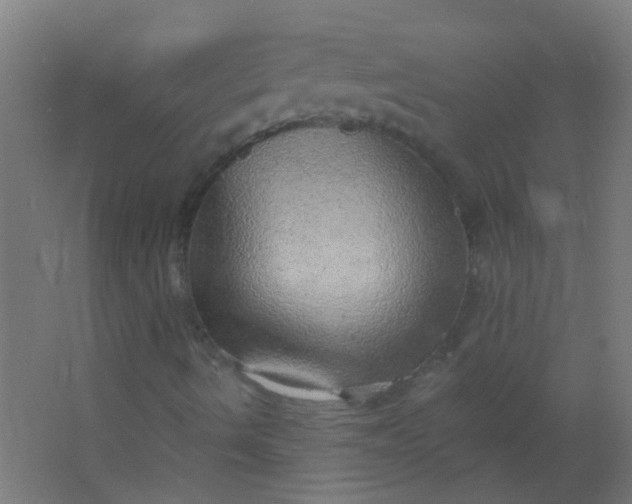 X0000063451490200602031754