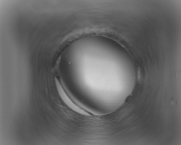 X0000063451492200602031754