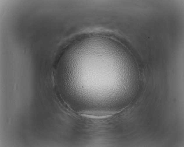 X0000063451493200602031754