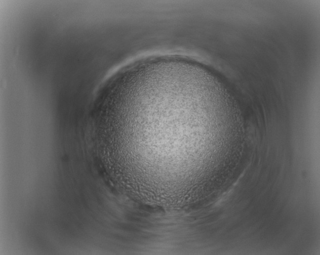 X0000063451494200602031754