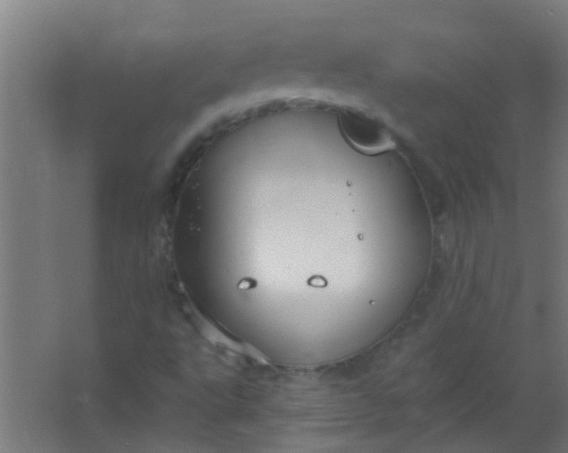 X0000063451495200602031754