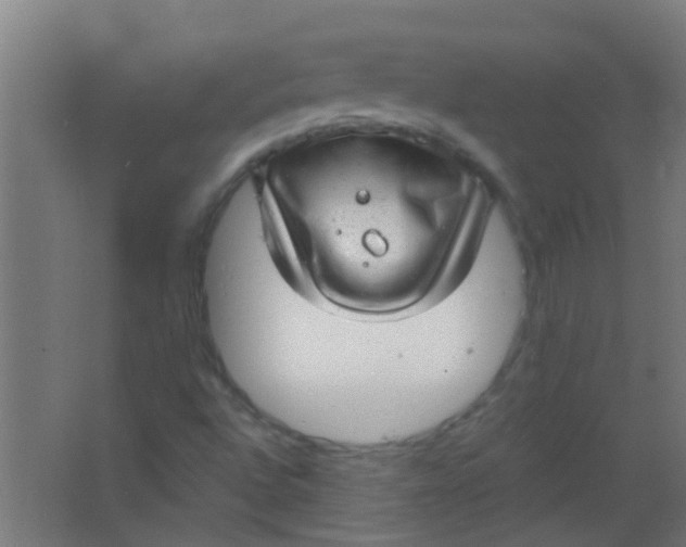 X0000063451496200602031754