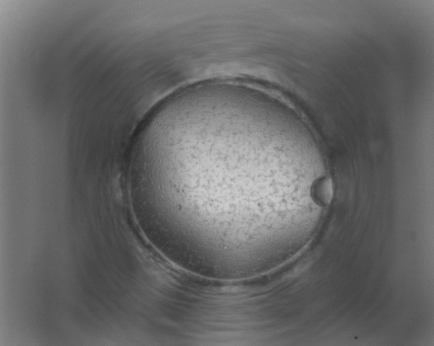 X0000063451497200602031754