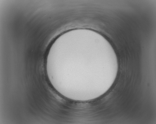 X0000063451498200602031754