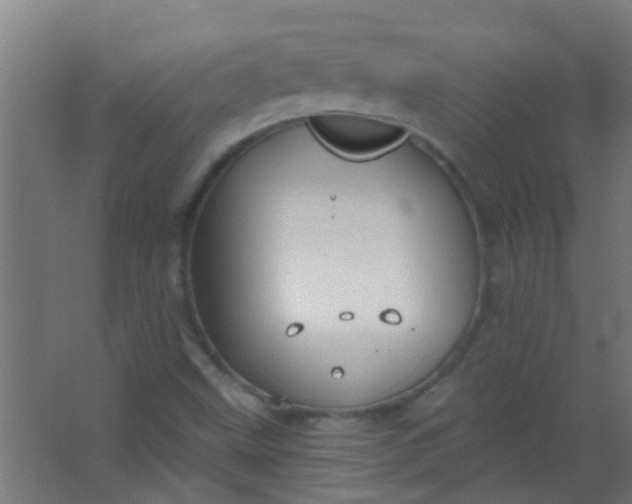 X0000063451499200602031754