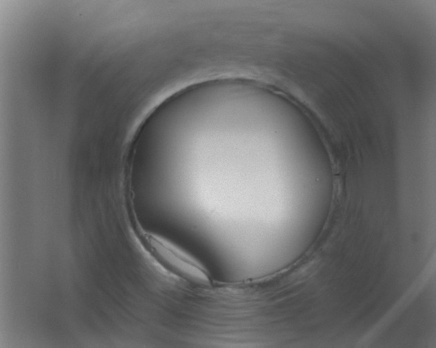 X0000063451500200602031754