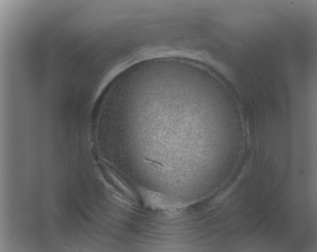 X0000063451501200602031754