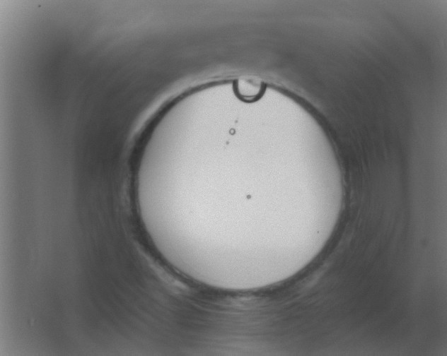 X0000063451502200602031754