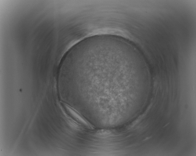 X0000063451505200602031754