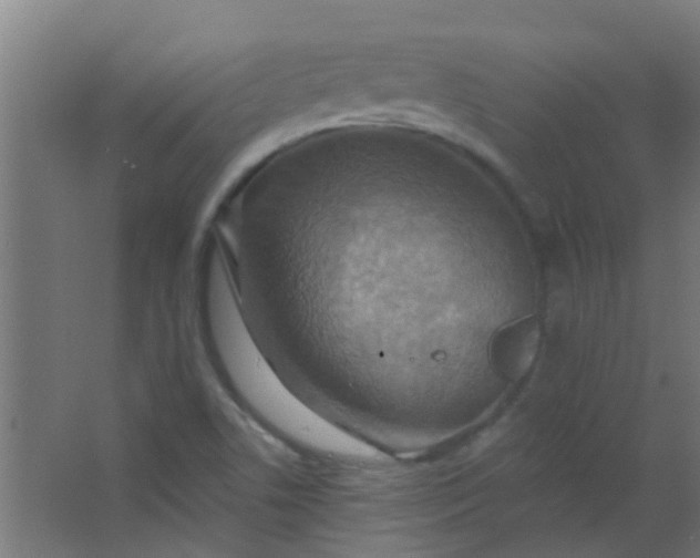 X0000063451506200602031754