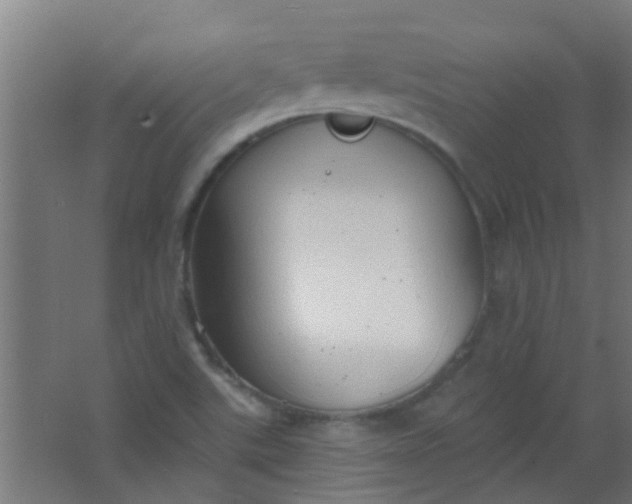 X0000063451507200602031754