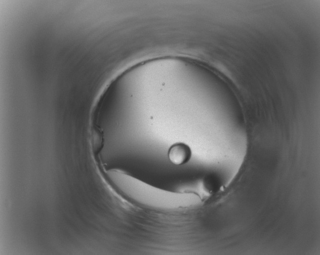 X0000063451508200602031754