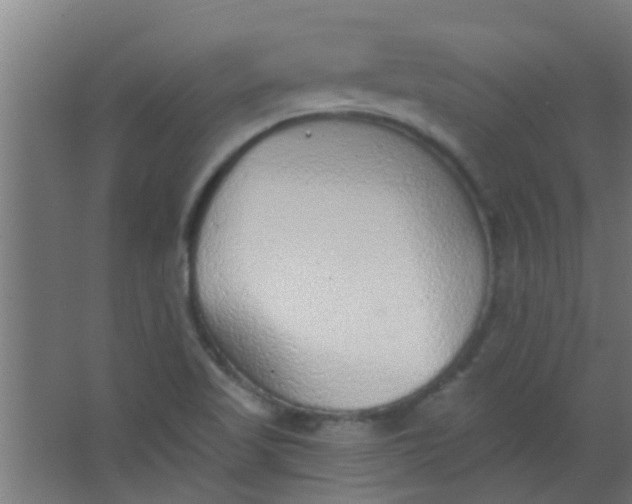 X0000063451509200602031754